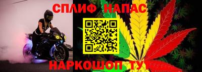 ПСИЛОЦИБИНОВЫЕ ГРИБЫ Камышлов