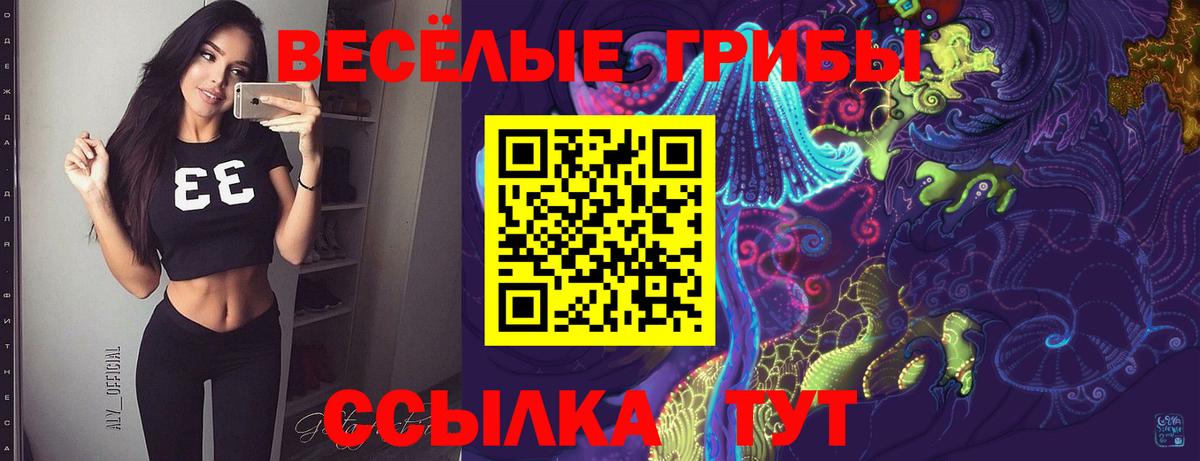 Галлюциногенные грибы Psilocybe Кудрово